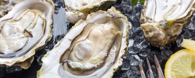 冷藏一个月的生蚝能不能吃(生蚝可以放冰箱急冻一个月吗)