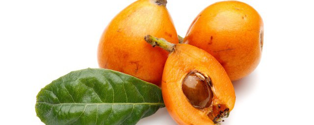 新鲜枇杷核煮水可以吗(鲜枇杷果核怎么煮水)