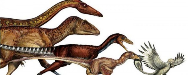 恐龙变成鸟的过程介绍(恐龙变成鸟的简单过程)