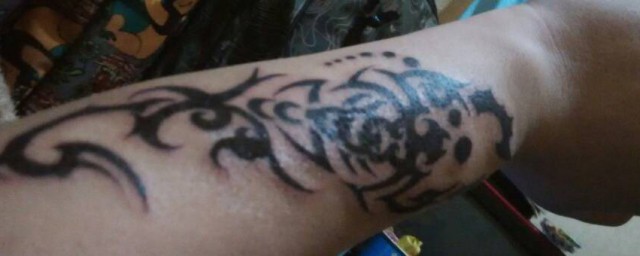 纹蝎子的禁忌和讲究(手纹蝎子的忌讳和讲究)