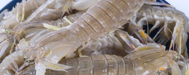冰鲜虾如何选择(冰鲜虾好吃吗)