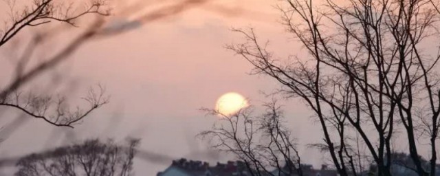 日暮乡关何处是诗句翻译(日暮乡关何处去的意思)