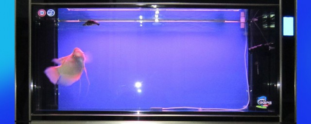 如何才能把森森鱼缸显示屏关掉(森森鱼缸显示屏幕怎么更换)