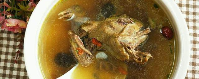 白鸽的功效作用介绍(白鸽子的作用与功效)