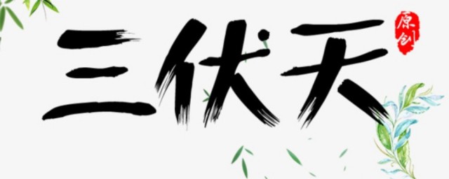 健康三伏灸(三伏灸的功效)