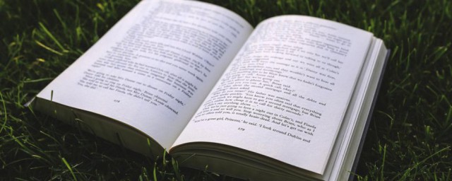 白描手法介绍(白描手法介绍老师外貌特征)