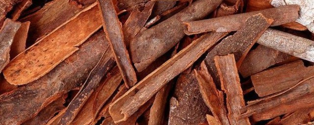 肉桂可以直接泡水吗(肉桂能用开水泡着喝吗)