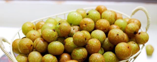 油甘子的介绍(油甘子的种类) 油甘子的介绍(油甘子的种类)