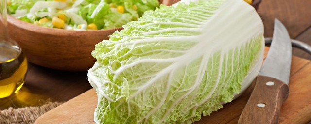 如何保存白菜(如何保存白菜不坏)