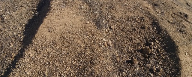 羊粪是属于什么肥料(羊粪主要含的是什么肥)