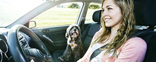 手动挡和自动挡的优缺点介绍(手动挡的优点和缺点)