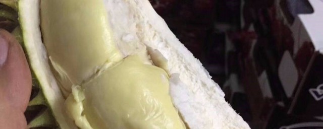 青皮榴莲介绍(青皮榴莲和黄皮榴莲有什么区别)