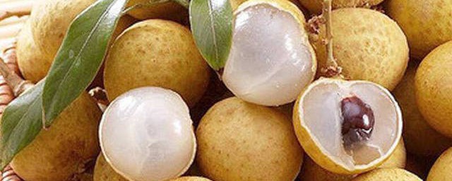 鲜桂圆如何保存(新鲜桂圆的保存方法)