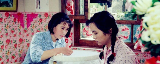 喜盈门电影简介(喜盈门电影讲的是什么)