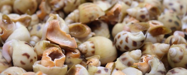 能不能吃隔夜的花螺(花螺可以隔夜吗)