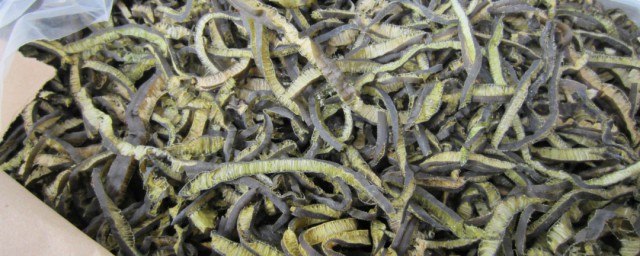 海茸食用禁忌是什么(海茸的营养价值与禁忌)