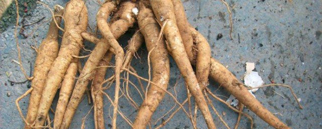 土人参哪些人不能吃(土人参的吃法及禁忌)