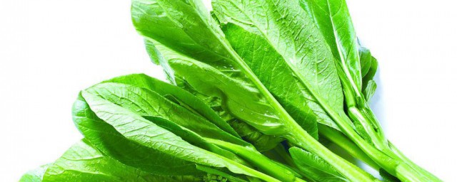 菜心的烹饪方法(菜心的做法)