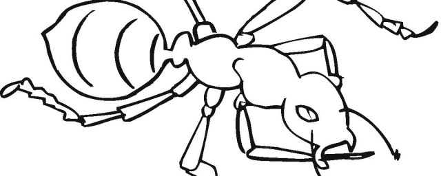 蚍蜉介绍(蜉蚍什么什么)