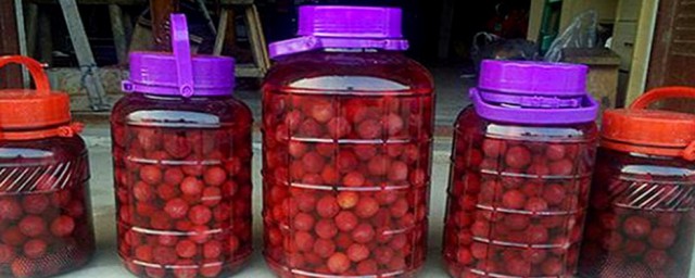 杨梅泡酒做法(泡杨梅酒的做法)