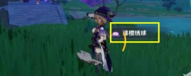 原神绯樱绣球如何采集(原神 绯樱绣球采集路线)