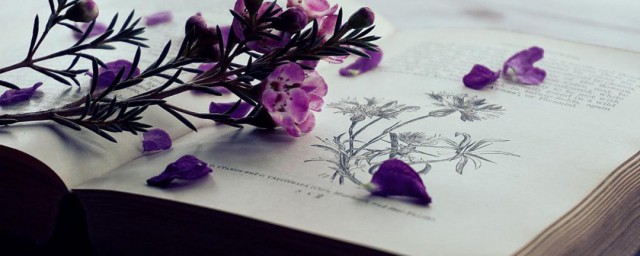 初级职称专业介绍(初级职称专业分类对照表)