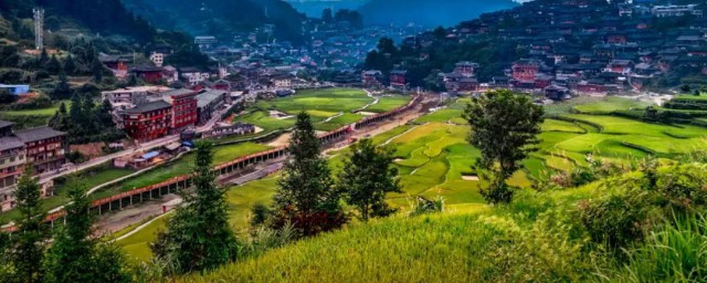 赖瓜子意思是什么(赖瓜子是什么动物)