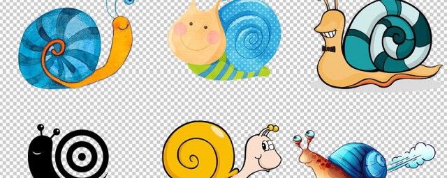 蜗牛吃什么食物(水里的蜗牛吃什么食物)