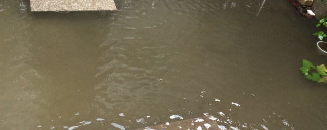 鱼塘已满意思是什么(鱼塘都满了什么意思网络用语)