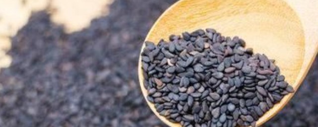 关于黑芝麻的禁忌(黑芝麻宜忌)