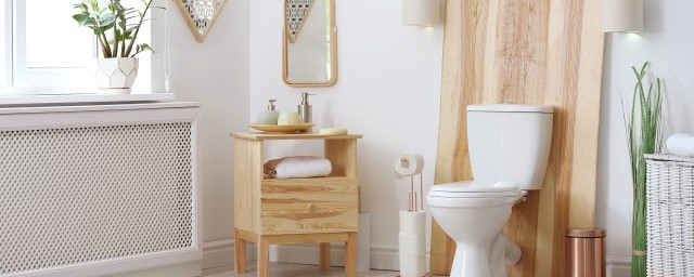 厕所三无三有指的是啥(公共卫生厕所三有三无)