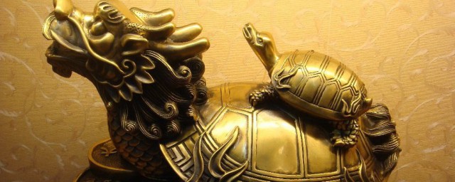家里摆龙龟为什么不可以呢(龙龟不能随便摆)