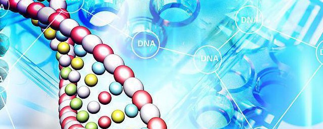 基因的意思是什么(基因的含义是什么)