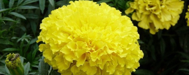 家里死人了有什么禁忌(家有死人忌讳什么)