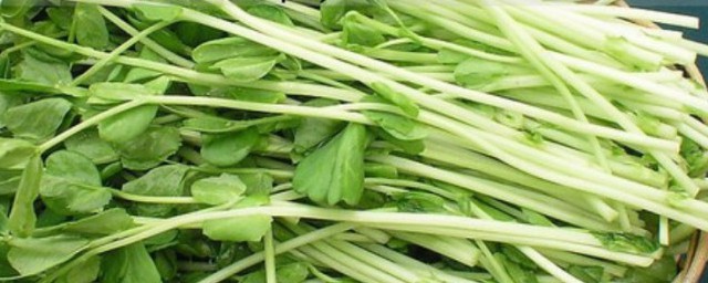 豌豆苗发苦能不能吃(豌豆发苦能吃吗)