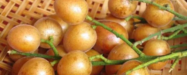 不能和黄皮果一起吃的食物(黄皮不能和什么水果混着吃)