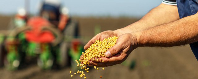 如何储存种子(种子该怎么保存)