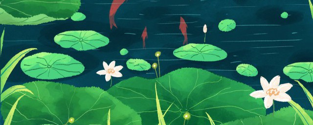 适合夏天发的小清新句子(适合夏天的说说唯美小清新)