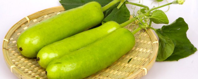 哪种食物不能和瓠子一起吃(瓠子相克食物)