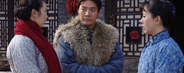 山里红主要演员介绍(山里红连续剧演员表)