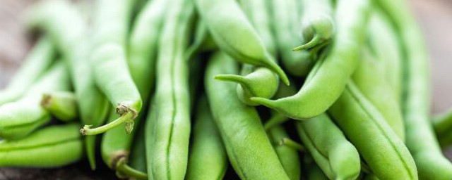 四季豆里有虫的解决方法(四季豆里面的虫是什么虫)