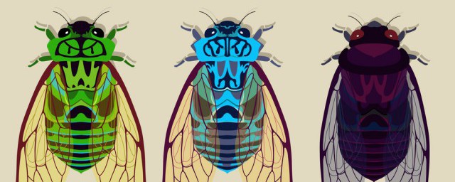 知了猴出来的时间(知了猴出到啥时候)