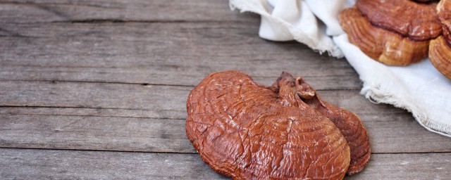 食用灵芝的禁忌有哪些(灵芝作用与禁忌)