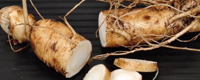 干人参泡酒好还是鲜人参更好(鲜人参和干人参泡酒哪个好)