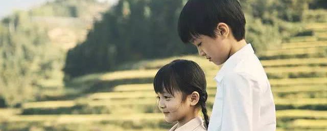 凉生故事主要剧情(凉生剧情介绍)