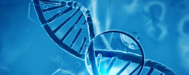 弱化作用介绍(弱化作用的一般机制)