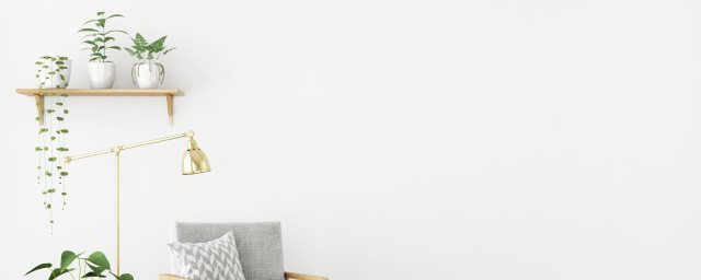 家里能不能放假花(家里能不能放假花和干花)