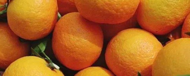 沃柑简介(沃柑百度百科)