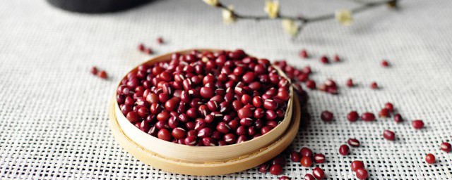 红豆古诗原文内容及翻译(红豆古诗文网)