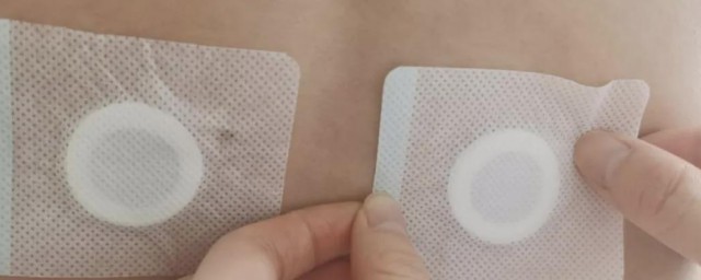 帖三伏贴可以吃韭菜么(贴三伏贴能吃鸡蛋吗?)